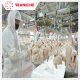 Qingdao Raniche Machinery Technology Co.,Ltd - chicken_slaughtering_machine_6_.jpg