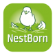 NestBorn - NestBorn.png