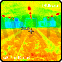 AVIR - Animal Comfort- - Calefactor infrarojos