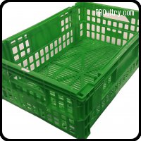 TEPSA - Poultry crate