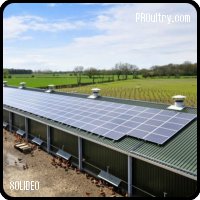 SOLIDEO - Fotovoltaica SOLIDEO para gallinas ponedoras