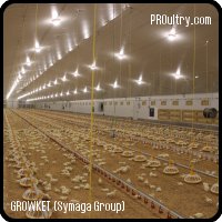 GROWKET (Symaga Group) - Naves avícolas para pollos, pavos y ponedoras